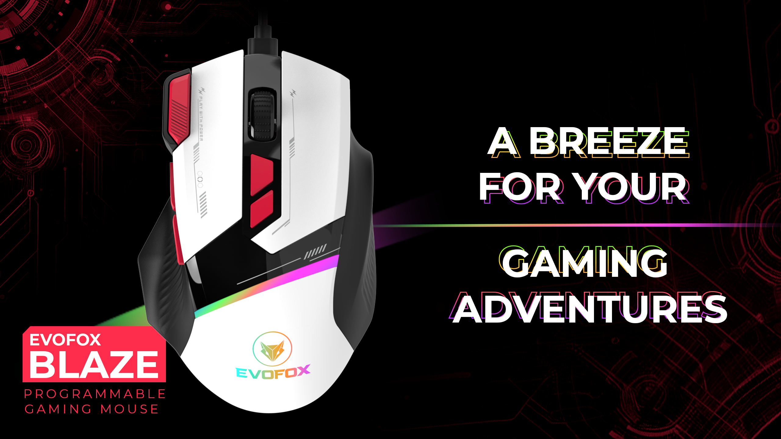The Ultimate Wireless Gaming Experience in Your Hands: The EvoFox Go W –  Amkette