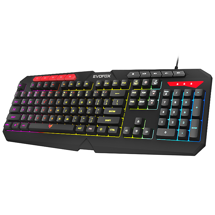 EvoFox Deathray V2 Pro Gaming Keyboard