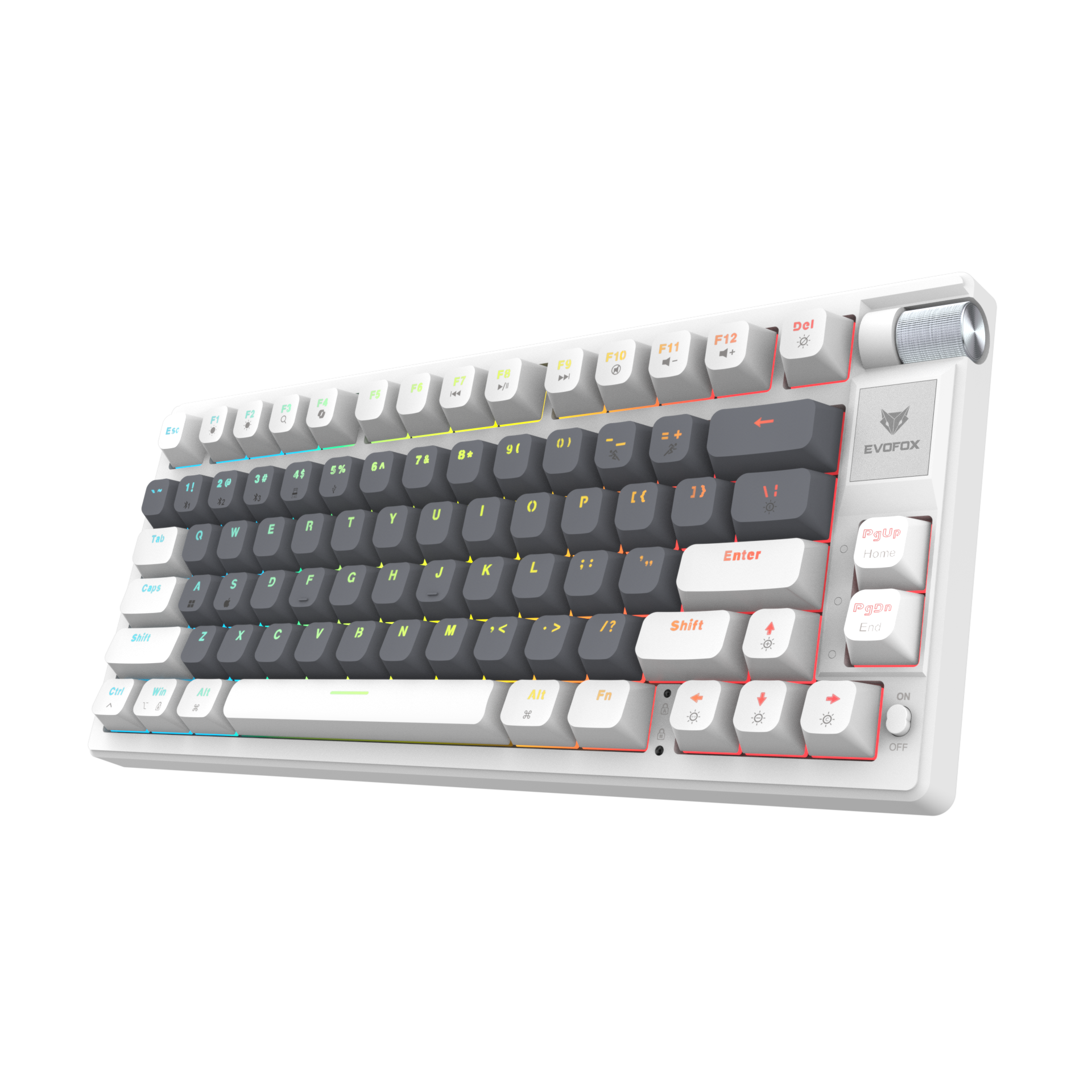 EvoFox Ronin TKL Wireless Mechanical Keyboard