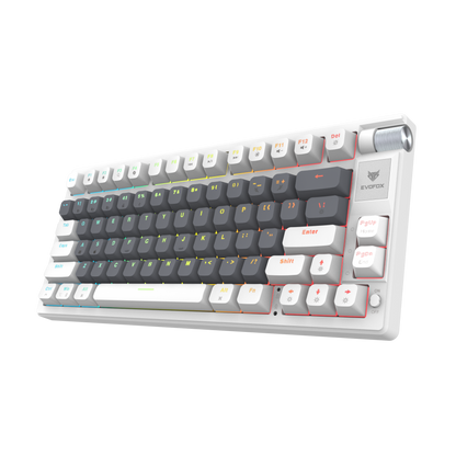 EvoFox Ronin TKL Wireless Mechanical Keyboard