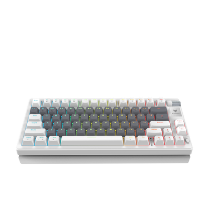 EvoFox Ronin TKL Wireless Mechanical Keyboard