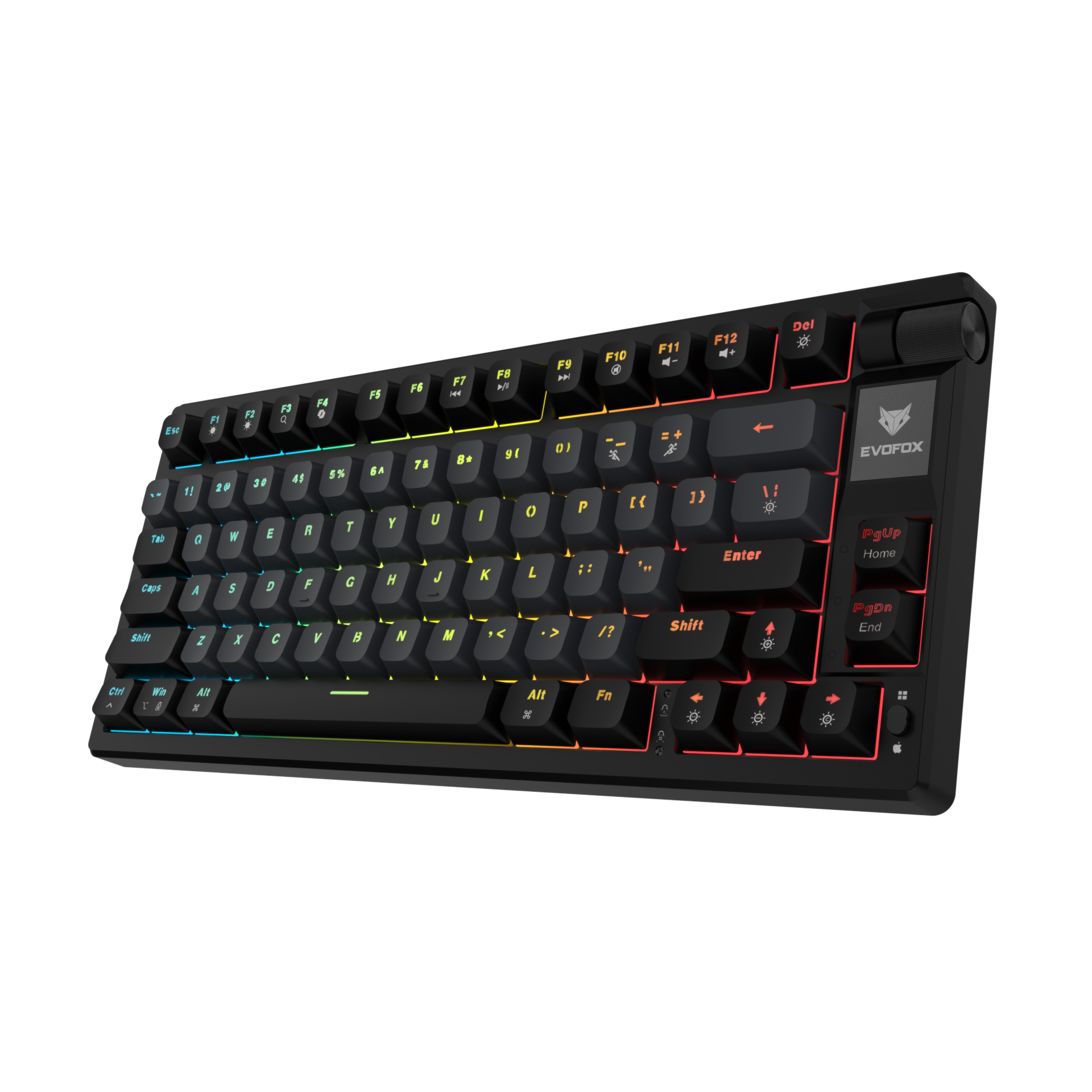 EvoFox Ronin TKL Wired Mechanical Keyboard