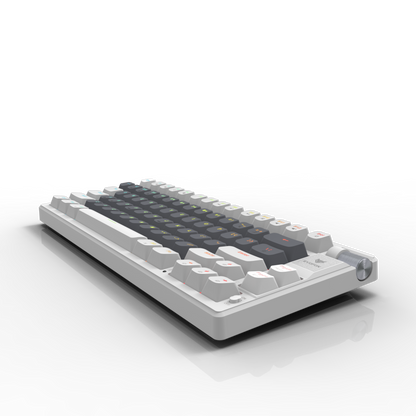 EvoFox Ronin TKL Wireless Mechanical Keyboard