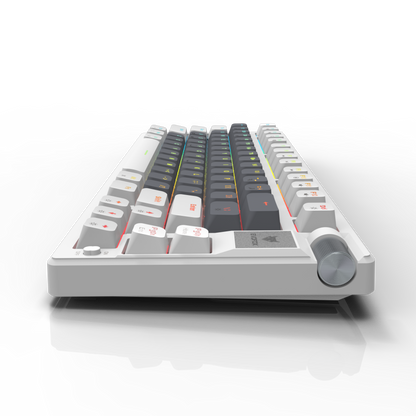 EvoFox Ronin TKL Wireless Mechanical Keyboard